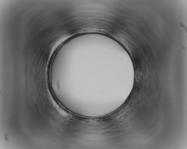 X0000097980995200804141113