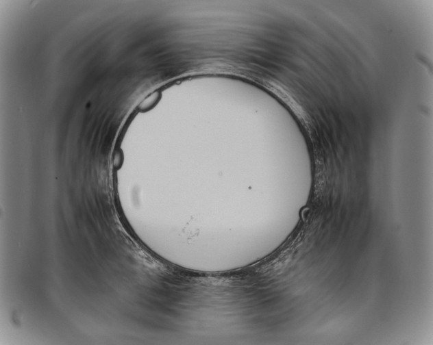 X0000097980996200804141113