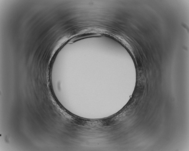 X0000097980997200804141113