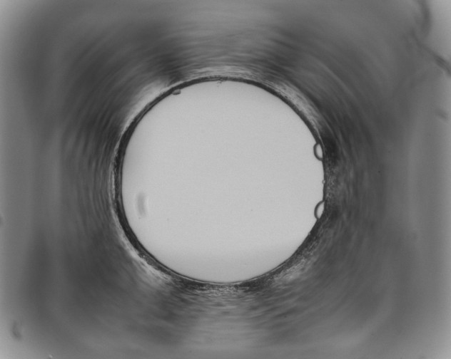 X0000097980999200804141113