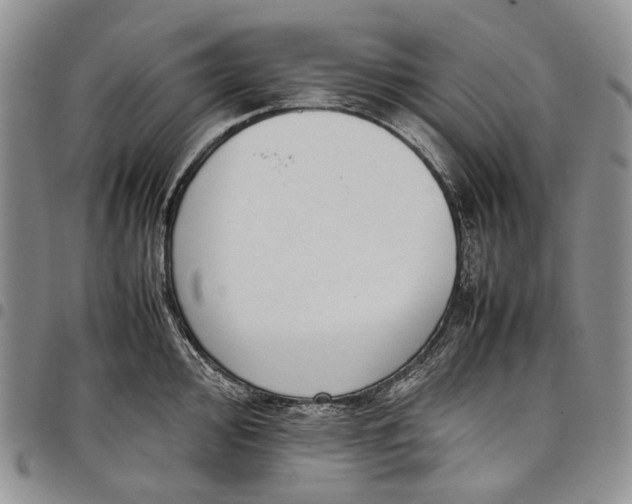 X0000097981000200804141113