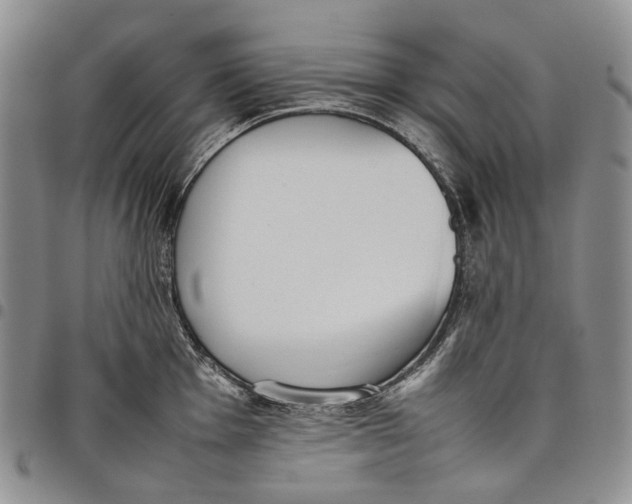 X0000097981001200804141113