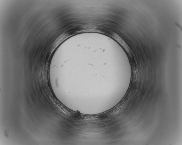 X0000097981002200804141113