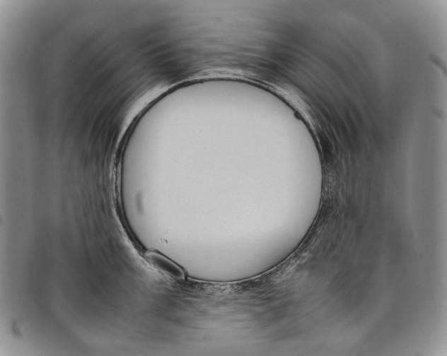 X0000097981003200804141113