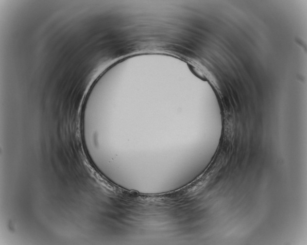 X0000097981004200804141113