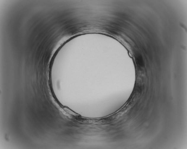 X0000097981005200804141113