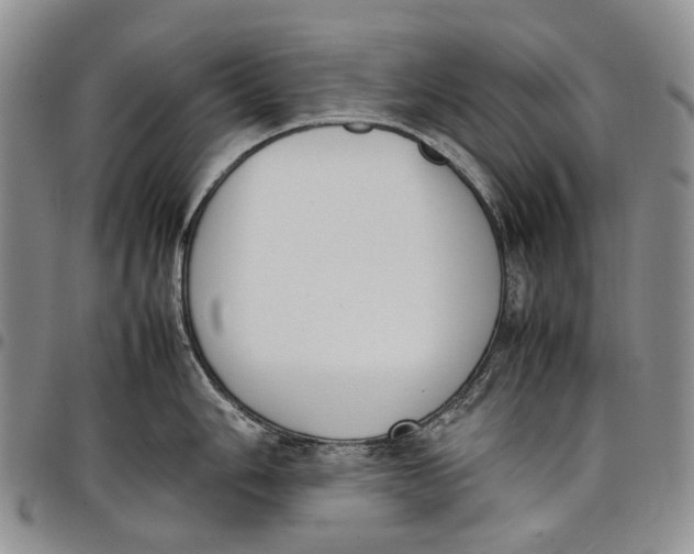 X0000097981006200804141113