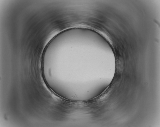 X0000097981007200804141113