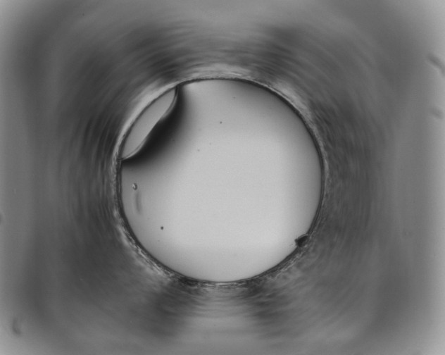 X0000097981008200804141113