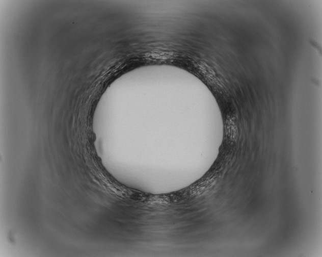 X0000097981009200804141112