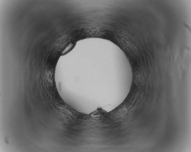 X0000097981010200804141112