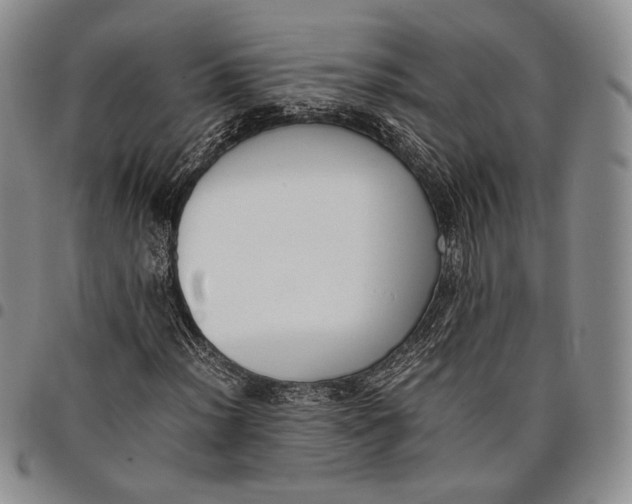 X0000097981012200804141112