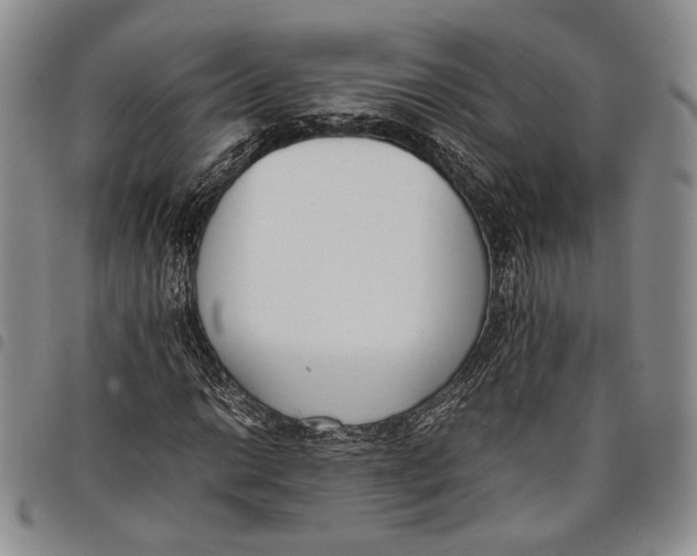 X0000097981014200804141112