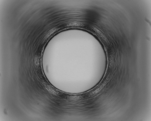 X0000097981017200804141112