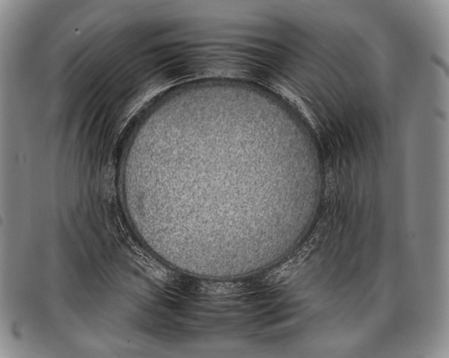 X0000097981019200804141112