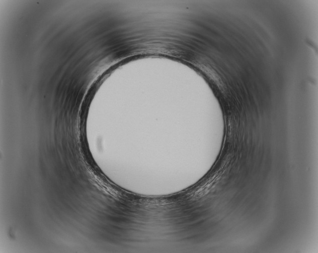 X0000097981020200804141112