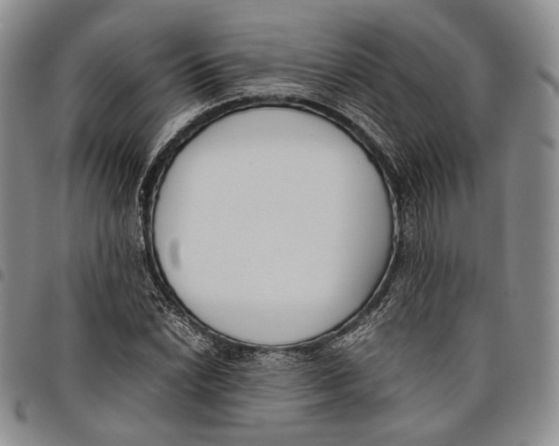 X0000097981022200804141112