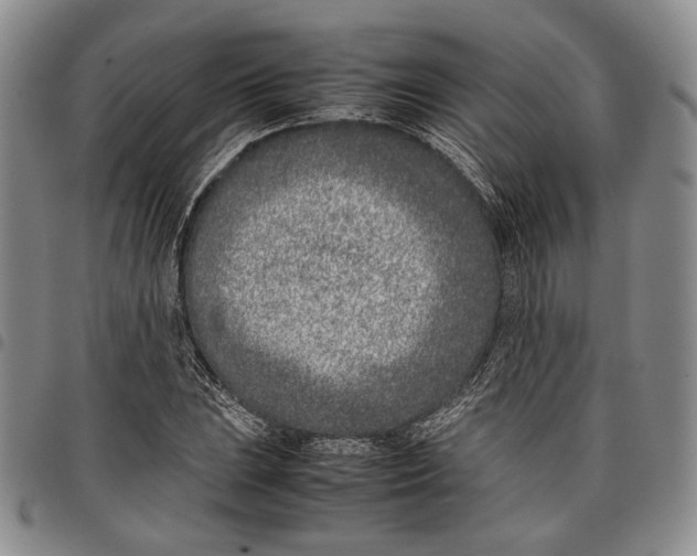 X0000097981023200804141112