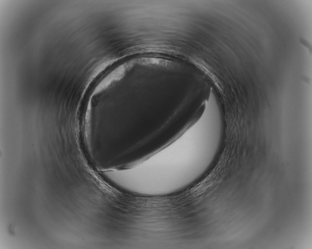 X0000097981024200804141112