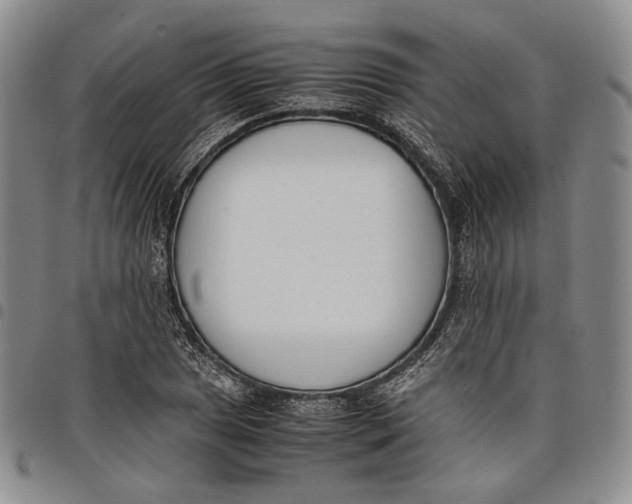 X0000097981025200804141112