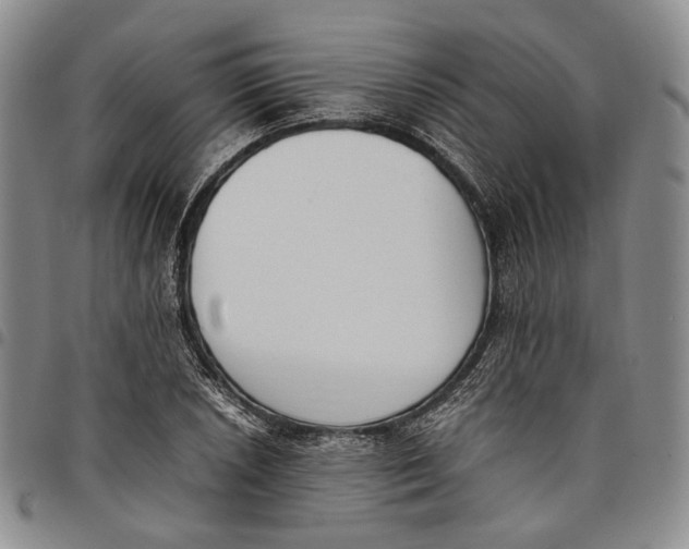 X0000097981026200804141112