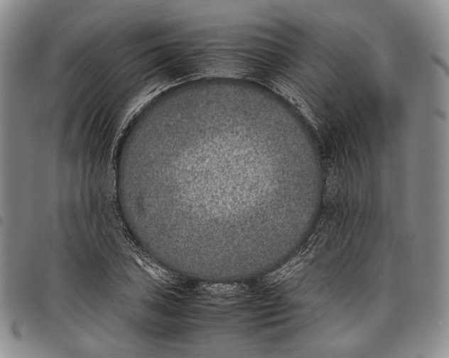 X0000097981027200804141112