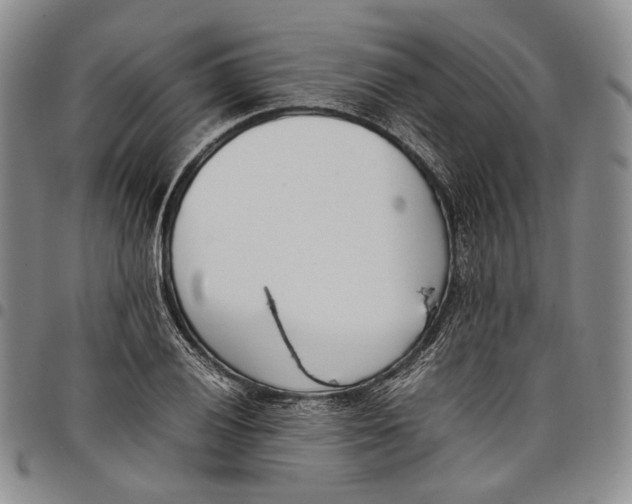 X0000097981028200804141112