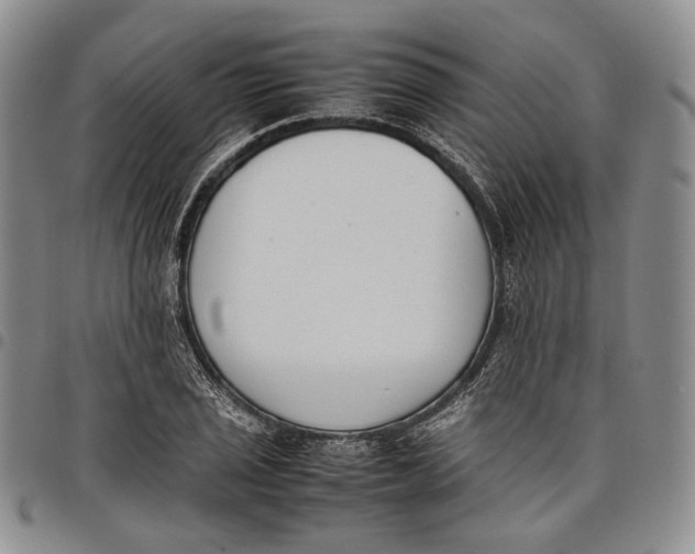 X0000097981029200804141112