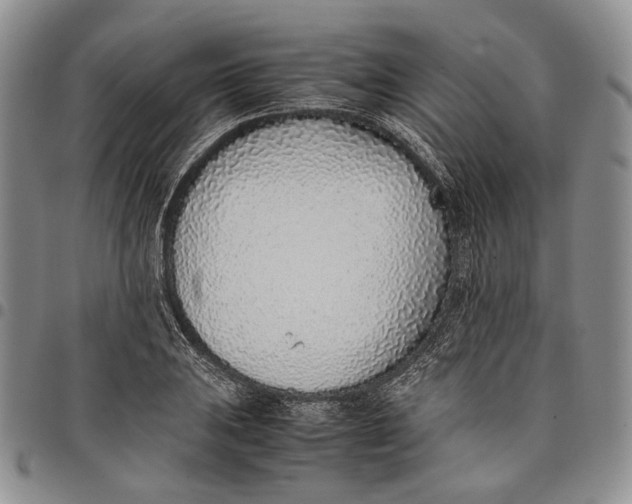 X0000097981031200804141112