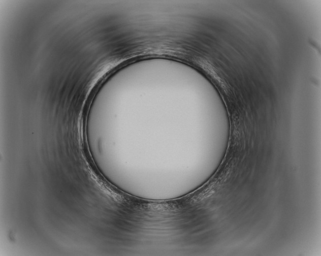 X0000097981032200804141112