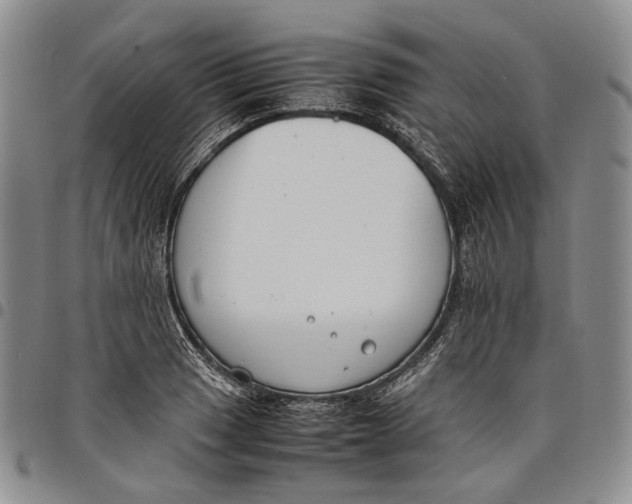 X0000097981033200804141112