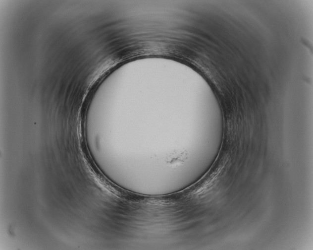 X0000097981034200804141112