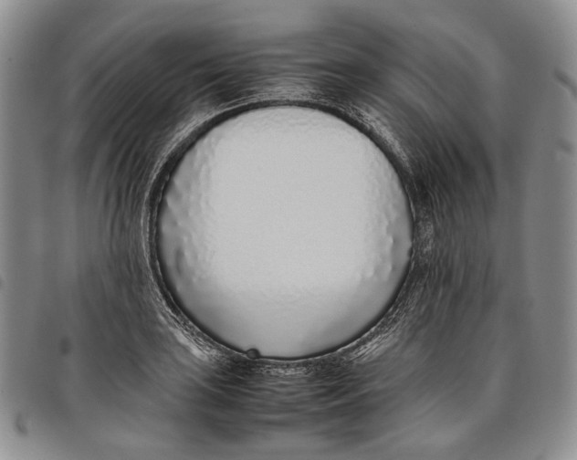 X0000097981035200804141112