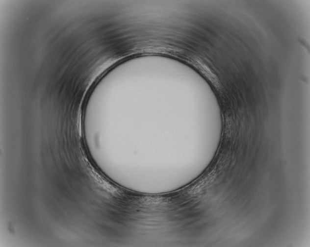 X0000097981036200804141112