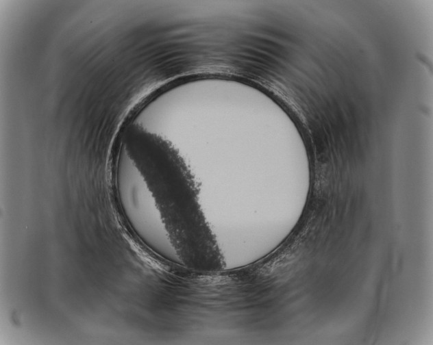 X0000097981037200804141112