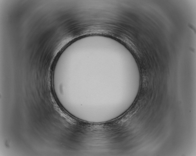 X0000097981038200804141112