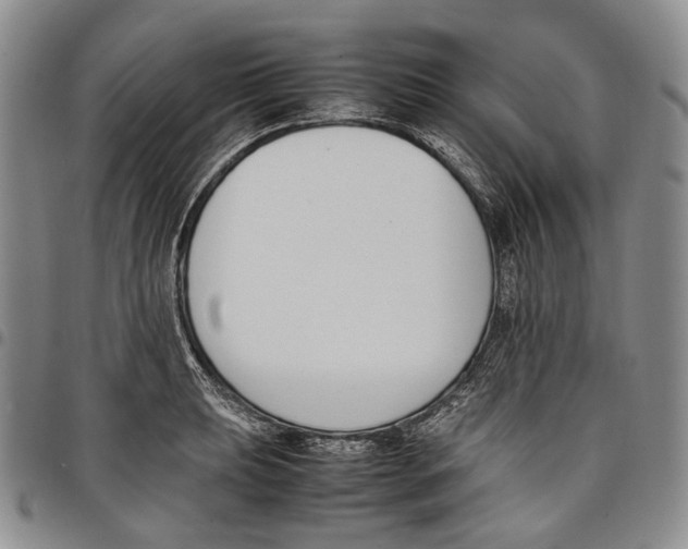 X0000097981039200804141112