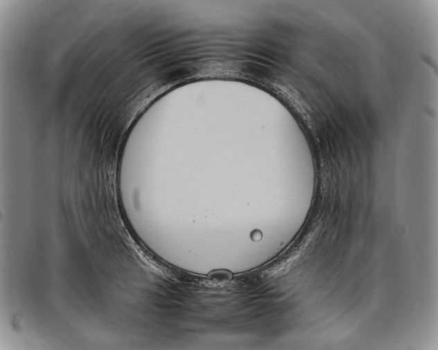 X0000097981041200804141112