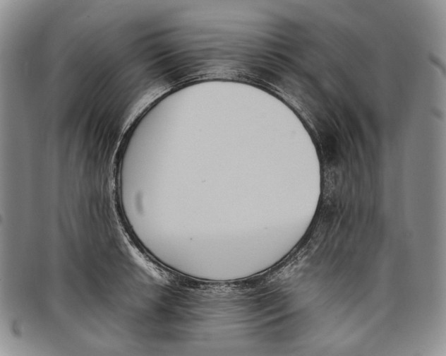 X0000097981042200804141112