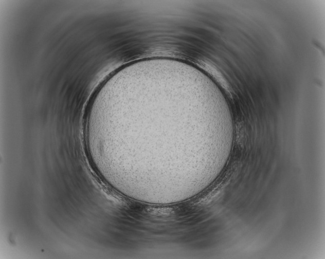 X0000097981043200804141112