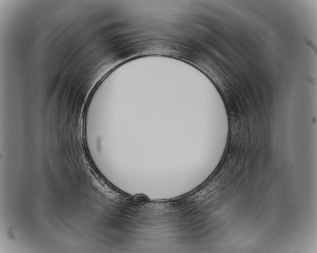 X0000097981044200804141112