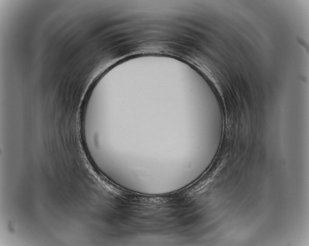 X0000097981045200804141112