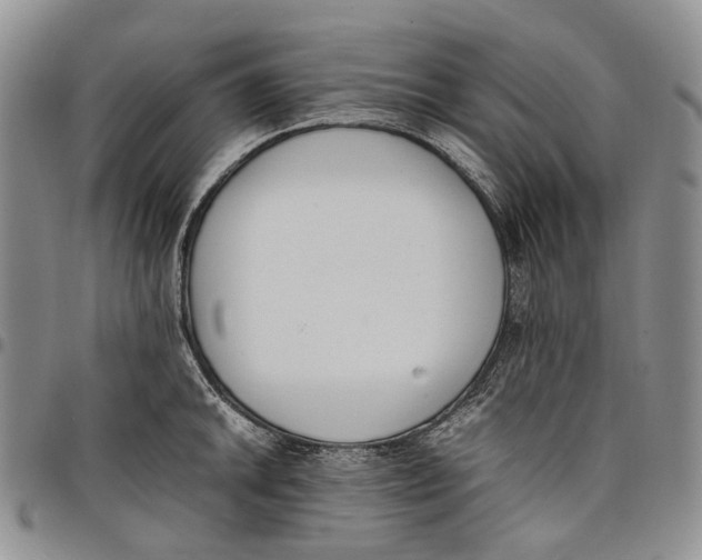 X0000097981046200804141112