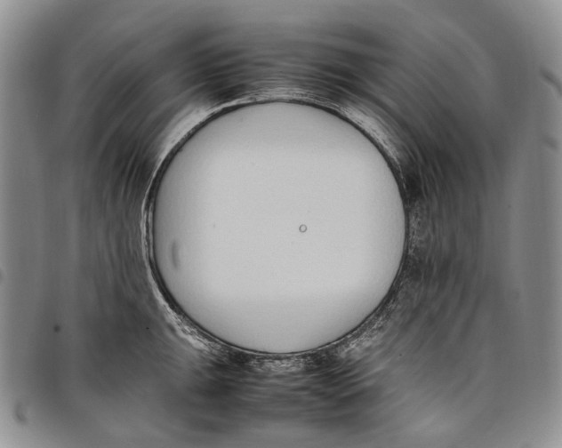 X0000097981047200804141112