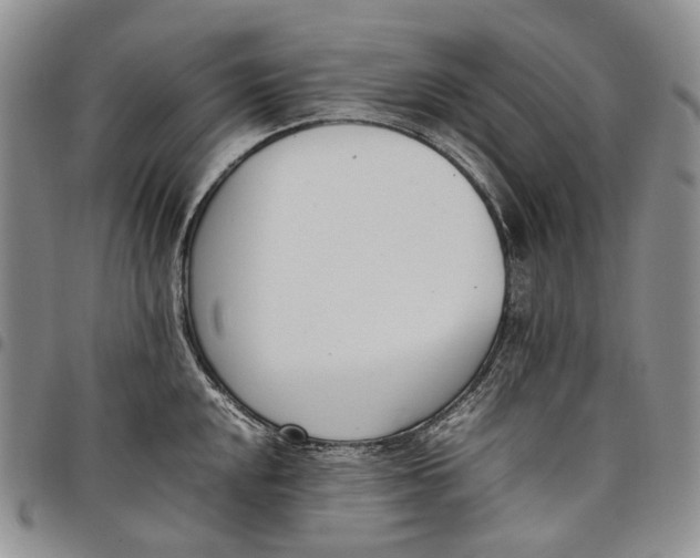 X0000097981048200804141113