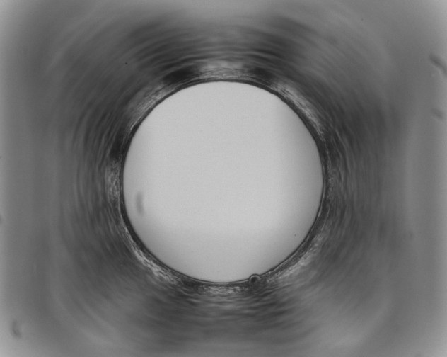 X0000097981049200804141113