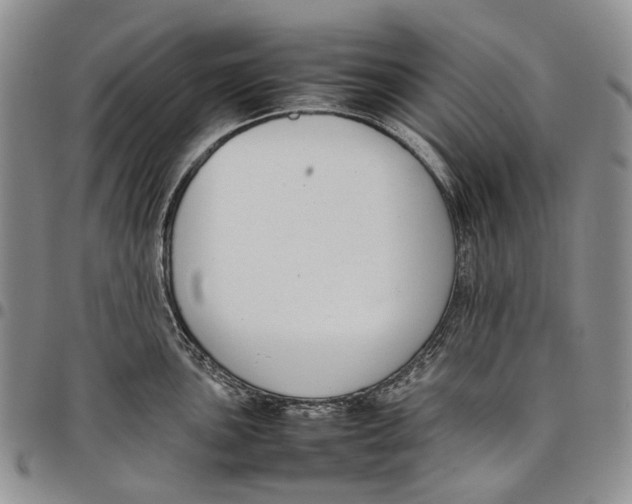 X0000097981051200804141113