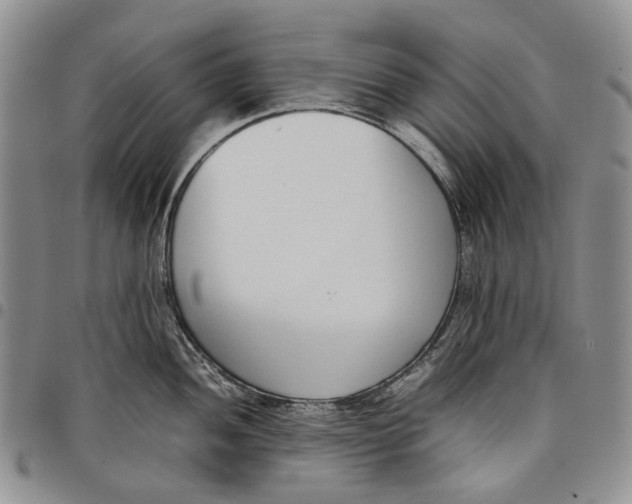 X0000097981052200804141113