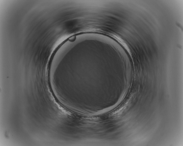 X0000097981053200804141113