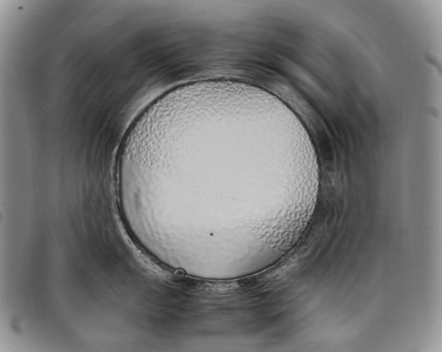 X0000097981055200804141113